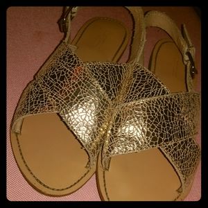 Crewcuts Sandals
